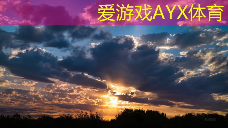 爱游戏AYX体育,佛山网球网线