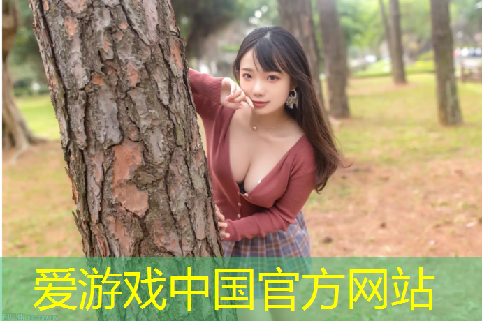 爱游戏中国官方网站,塑胶跑道材料种类及图解